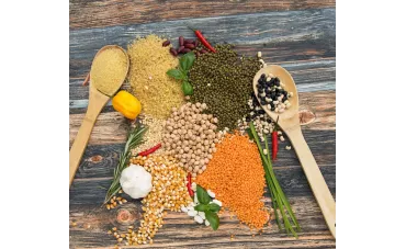 Lędźwian – zapomniany skarb wśród roślin strączkowych