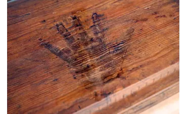 Czarcia Łapa – intrygująca lubelska legenda, która wciąż przyciąga turystów