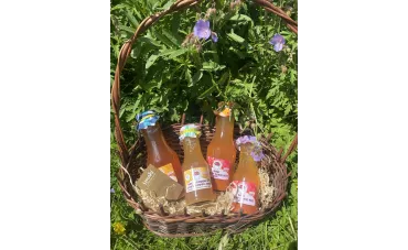 Naturalne eliksiry zdrowia — prozdrowotne właściwości soków z pigwowca i dzikiej róży